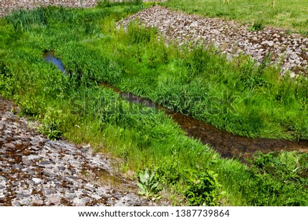 A narrow stream of the current made for him a fence of stones and concrete, on the edges of the stream grows green grass, summer day.