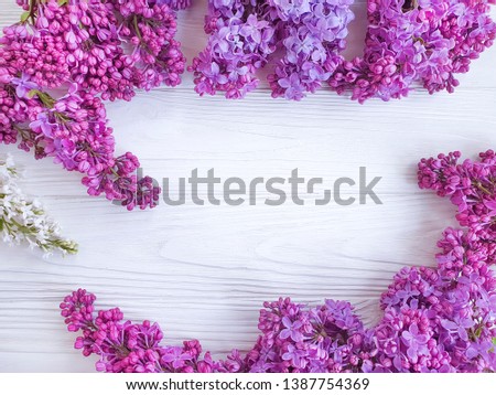 beautiful lilac flower on white wooden background frame

