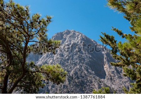 Summer natural views and landscape of the Samaria Gorge. Crete. Greece.