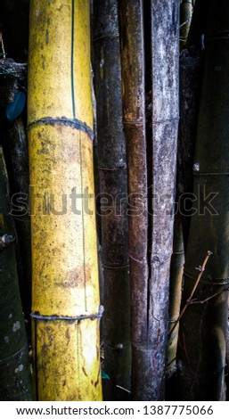 yellow young and black old bamboo pattern background wallpaper
