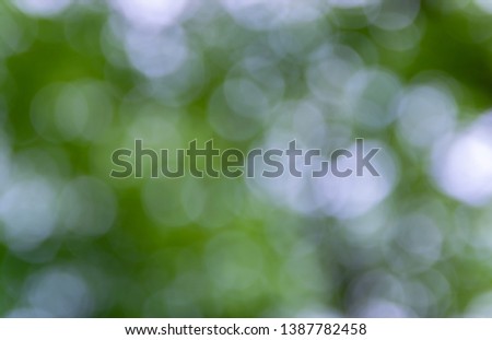 Nature,environment,parks,forests and texture concept: natural blurred background with green leaves and trees.