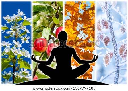 Female yoga figure silhouette against collage of four pictures representing each season: spring, summer, autumn and winter.