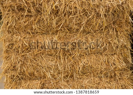 Yellow straw texture in Madrid.