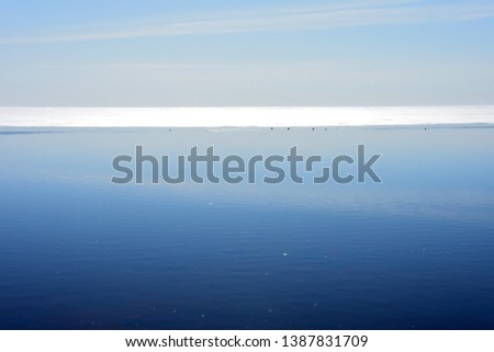 Frozen sea shore. View from the top