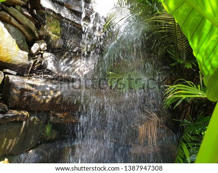 tropical waterfall surrounded with palm trees, in Canary Islands 