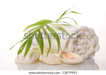 summer bath scene. towel, shell, leaf isolated on the white background