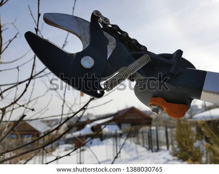 Professional pruner with tensioner and chain for trimming trees against the sky in winter or spring