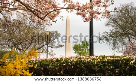 An opening between the hedge and trees allows a view of the Washington Monument in the District of Columbia