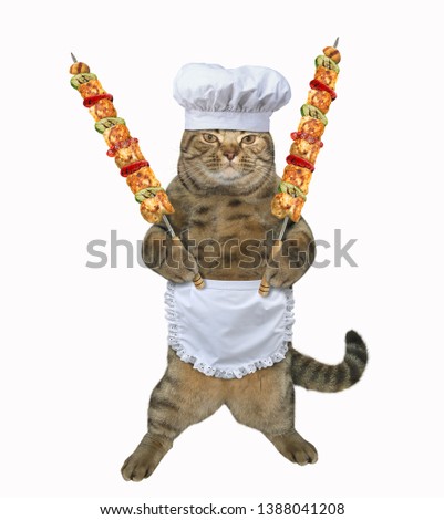 The cat cook holds the grilled meat on the steel skewers. White background. Isolated.