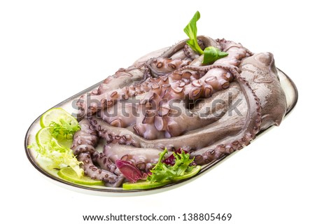 Raw large octopus