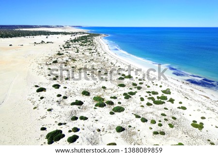 White sandy beach and coastal dunes in Australia