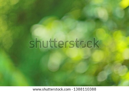 Natural green forest in blur picture to be background and be fine seeing