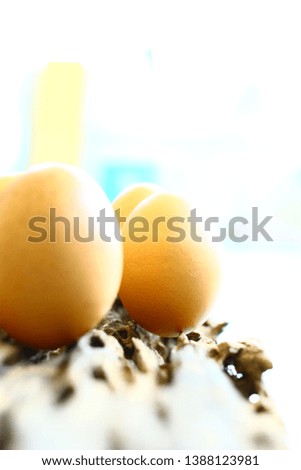 Chicken eggs on wood decay background.