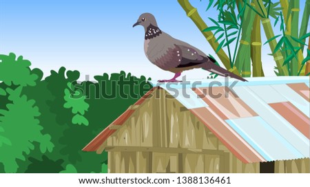 Birds rock doves  or pigeons  at a bird feeder that is built like a tiny house in a green park. One sitting on the feeder roof - Vector