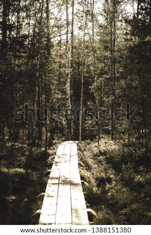 wavy wooden foothpath in swamp forest tourist trail in green sunny summer day - vintage retro look