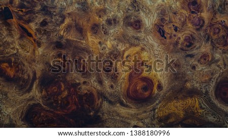 Nature afzelia burl wood striped for Picture prints interior decoration car, Exotic wooden beautiful pattern for crafts or abstract art texture background