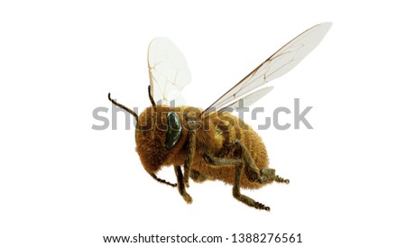 flying honey bee,You can see the enhanced detail and realism, so you can use this for a closeup shot