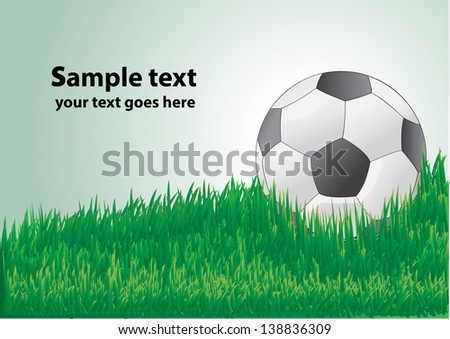 soccer ball on  the field