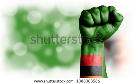 Flag of Zambia painted on male fist, strength,power,concept of conflict. On a blurred background with a good place for your text.