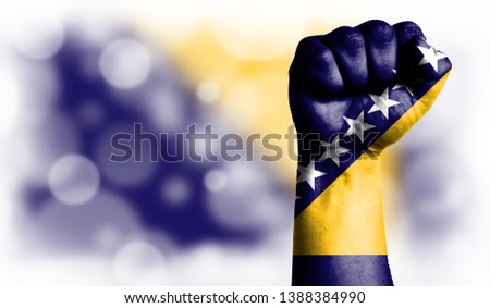 Flag of Bosnia and Herzegovina painted on male fist, strength,power,concept of conflict. On a blurred background with a good place for your text.