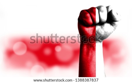 Flag of Poland painted on male fist, strength,power,concept of conflict. On a blurred background with a good place for your text.