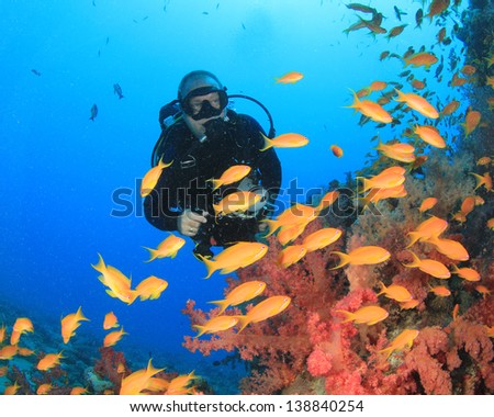 Scuba Diver explores coral reef with tropical fish underwater