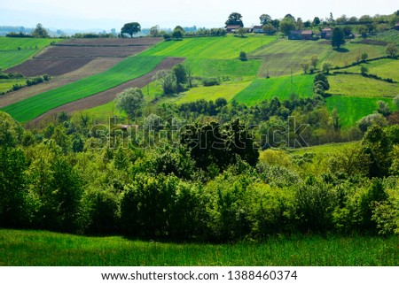 Green meadows and hills,shrubs, bushes, trees with field agriculture 