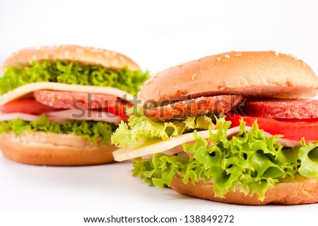 Two salami sandwiches on white background