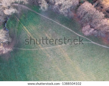 Aerial photo of pathway in a park with trees