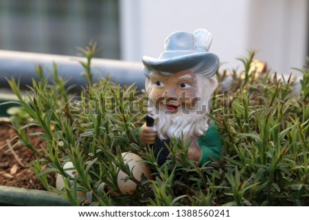 Little dwarf as a decoration in the garden