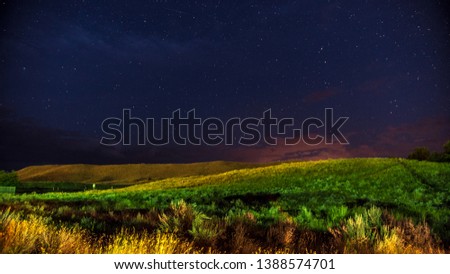 Starry night with Milky Way and grassy hill and plants