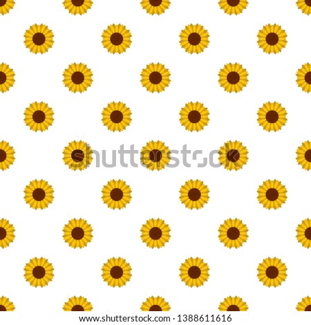 Circle of sunflower pattern seamless vector repeat for any web design