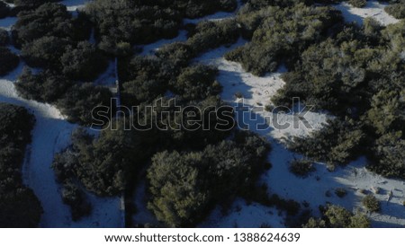 Aerial view of people walking in winter forest near the green coniferous trees in sunny winter day. Action. Winter resort