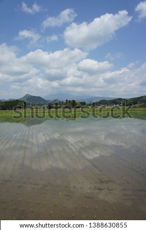 Clear rice-transplanting was over in Japan