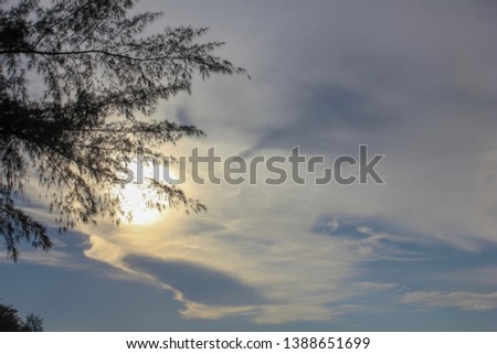 The beautiful sunrise on the sky with the tree