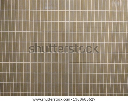 Beautiful bathroom tiles Used as background