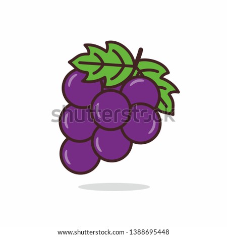 Purple grapes illustration isolated on white background. Grape vector illustration 