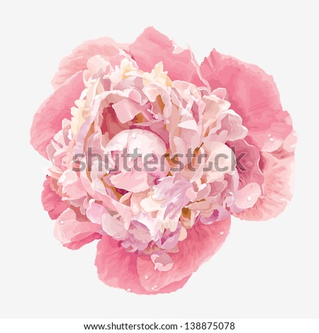 Luxurious pink peony flower painted in pastel colors Royalty-Free Stock Photo #138875078