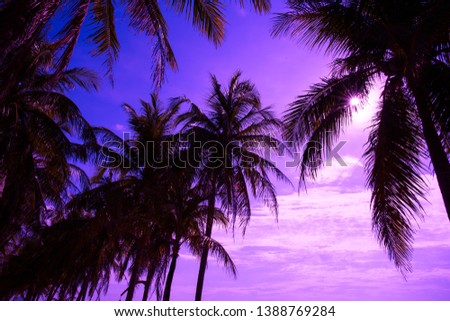 Beautiful beach in Thailand. View of sunlight tropical sea beach with coconuts palms. Tropical sand beach holiday for background and vacation travel concept. 