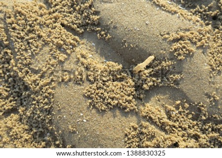 The surface on the sand in the evening, thailand, asia                             