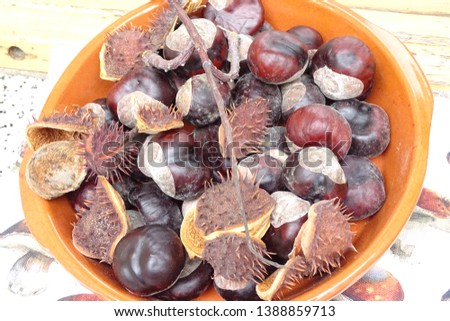 chesnut in a dish, autumn fruit close up