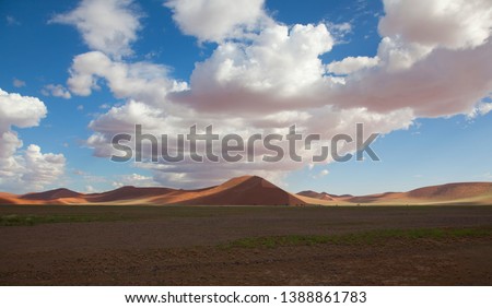 Beautiful colours in the desert, Namib-Naukluft National Park, Namib desert, Namibia.