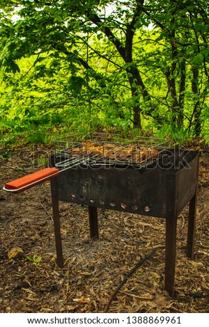 cubes of pickled meat in a grill grate at brazier. barbecue kebab on embers outdors. grilled picnic in nature. side view close up a background of green trees.