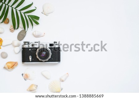 Summer time concept with sea shells, retro photo camera and green leaves  on a white background with space for text. Vacation flat lay. Close up top view frame