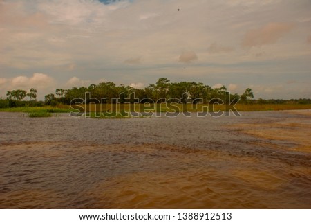 Manaus, Amazonas, Brazil: The merger of the two colored river, Rio Negro, Solimoes. Meeting, multi-colored waters do not mix, and continue the way side by side, thus each river remains with the own