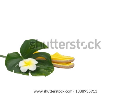 Tropical flower, leaf Monstera (split philodendron), espadrilles  isolated on white background. Minimal vacation composition. Copy space.