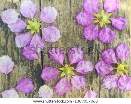 Background and texture of nature art with flower