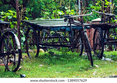 old three-wheels rugged bicycles in the rain on a meadow at Havelock Island, Andaman and Nicobar Islands