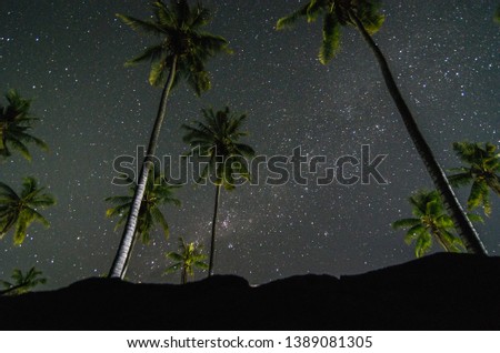 Starry sky over coconut trees in Singaraja City, Bali, Indonesia