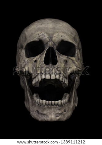 Human Skull Isolated on black Royalty-Free Stock Photo #1389111212